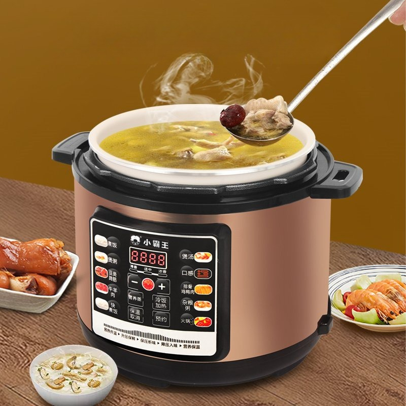 Programmable Electric Pressure - Instant Pot Pressure Cooker recensione e prezzo