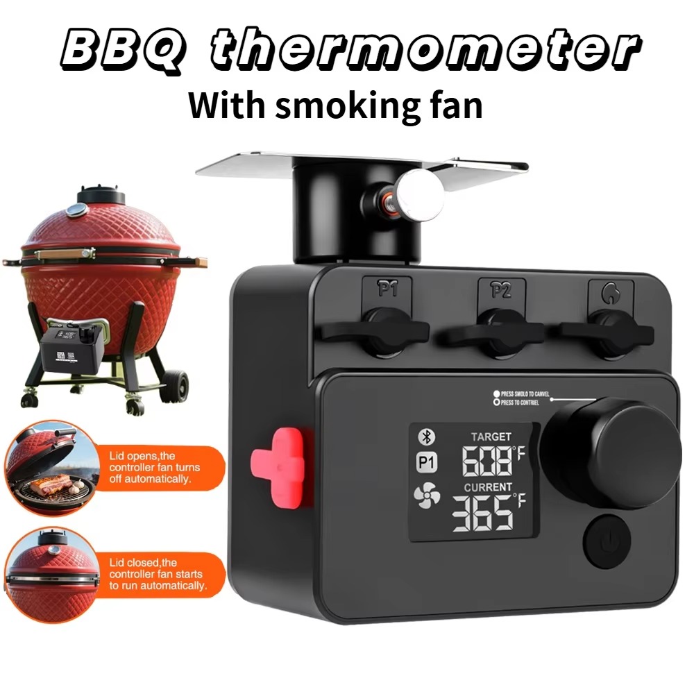 Wireless Bluetooth Meat Thermo - Electric Smoker Bbq recensione e prezzo