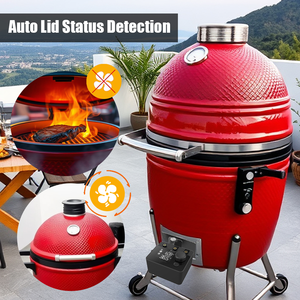 Wireless Bluetooth Meat Thermo - Electric Smoker Bbq recensione e prezzo