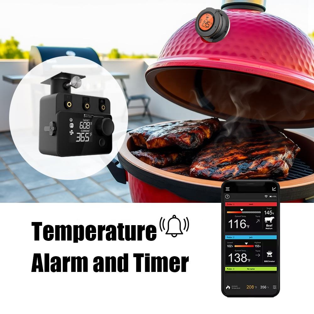 Wireless Bluetooth Meat Thermo - Electric Smoker Bbq recensione e prezzo