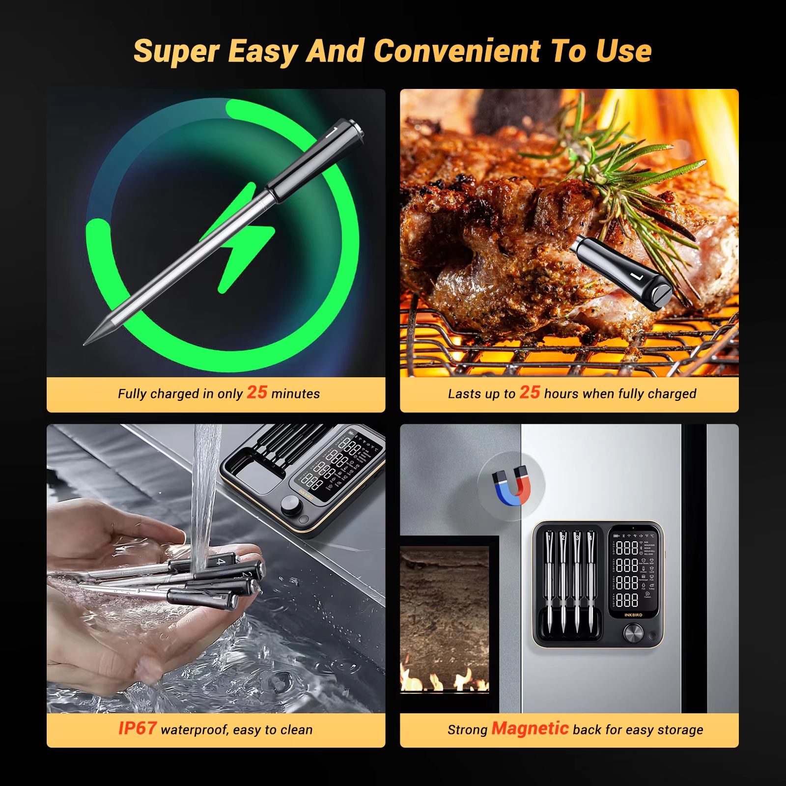Digital Grilling Cooking BBQ S - Electric Smoker Bbq recensione e prezzo