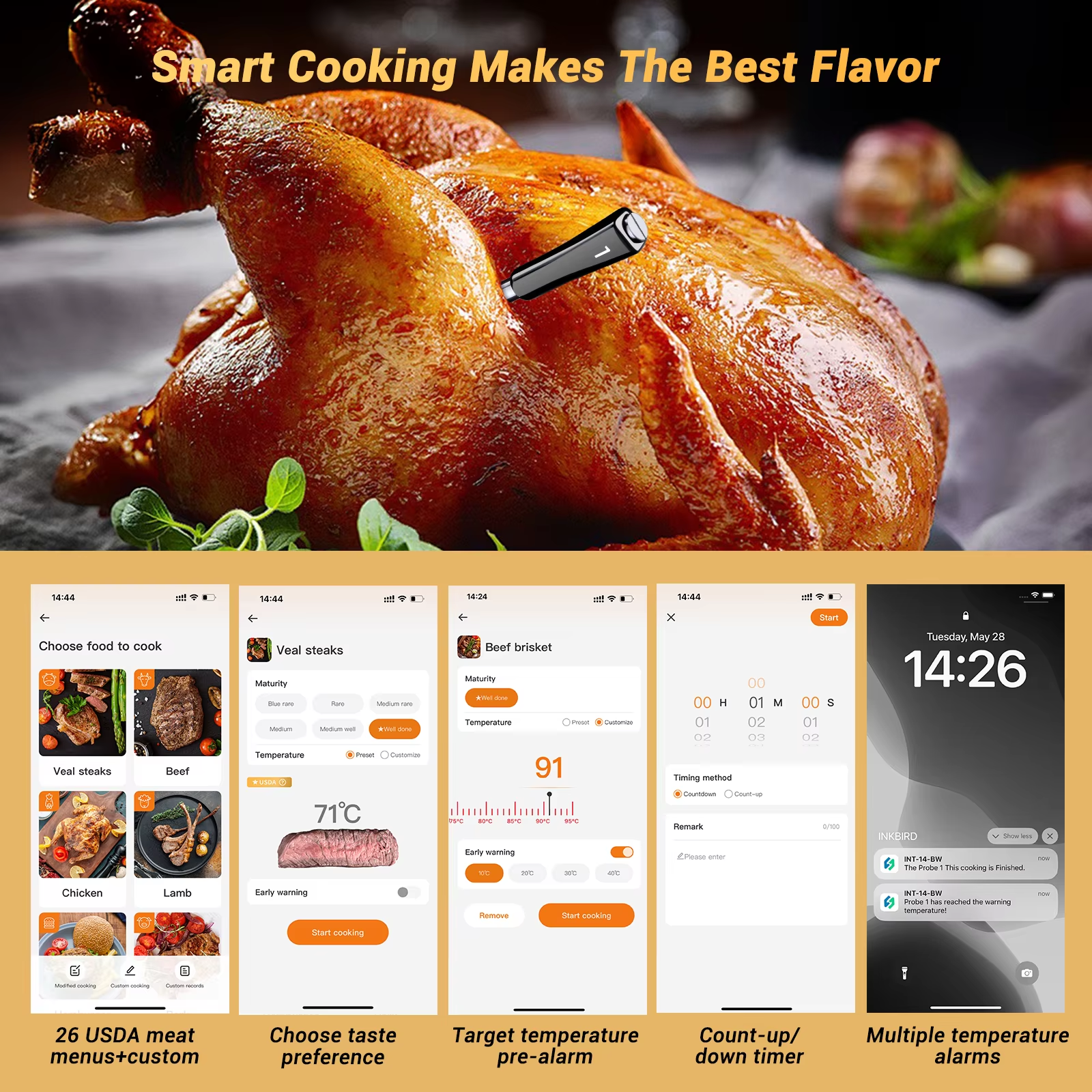 Digital Grilling Cooking BBQ S - Electric Smoker Bbq recensione e prezzo