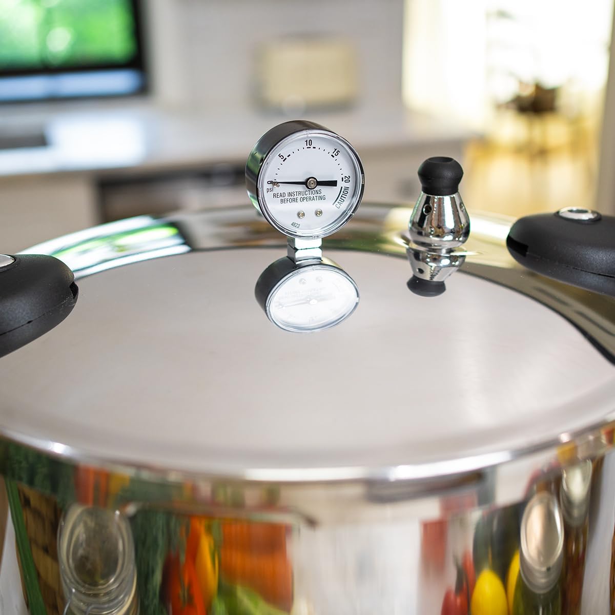 Pressure Canner Release Valve  - Instant Pot Pressure Cooker recensione e prezzo
