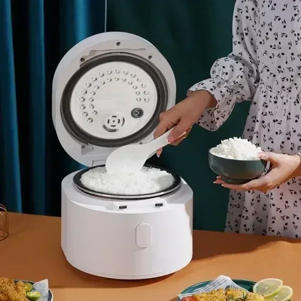 110v smart Rice cooker 3L rice - Kitchen Appliances Canada recensione e prezzo