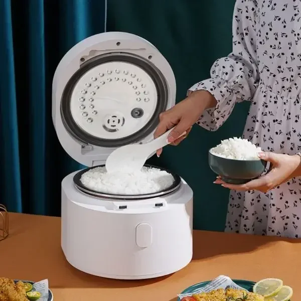110v smart Rice cooker 3L rice - Kitchen Appliances Canada recensione e prezzo