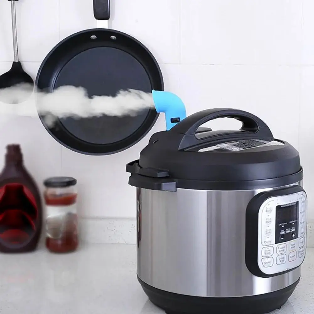 Diverter Pressure Cooker Steam - Instant Pot Pressure Cooker recensione e prezzo
