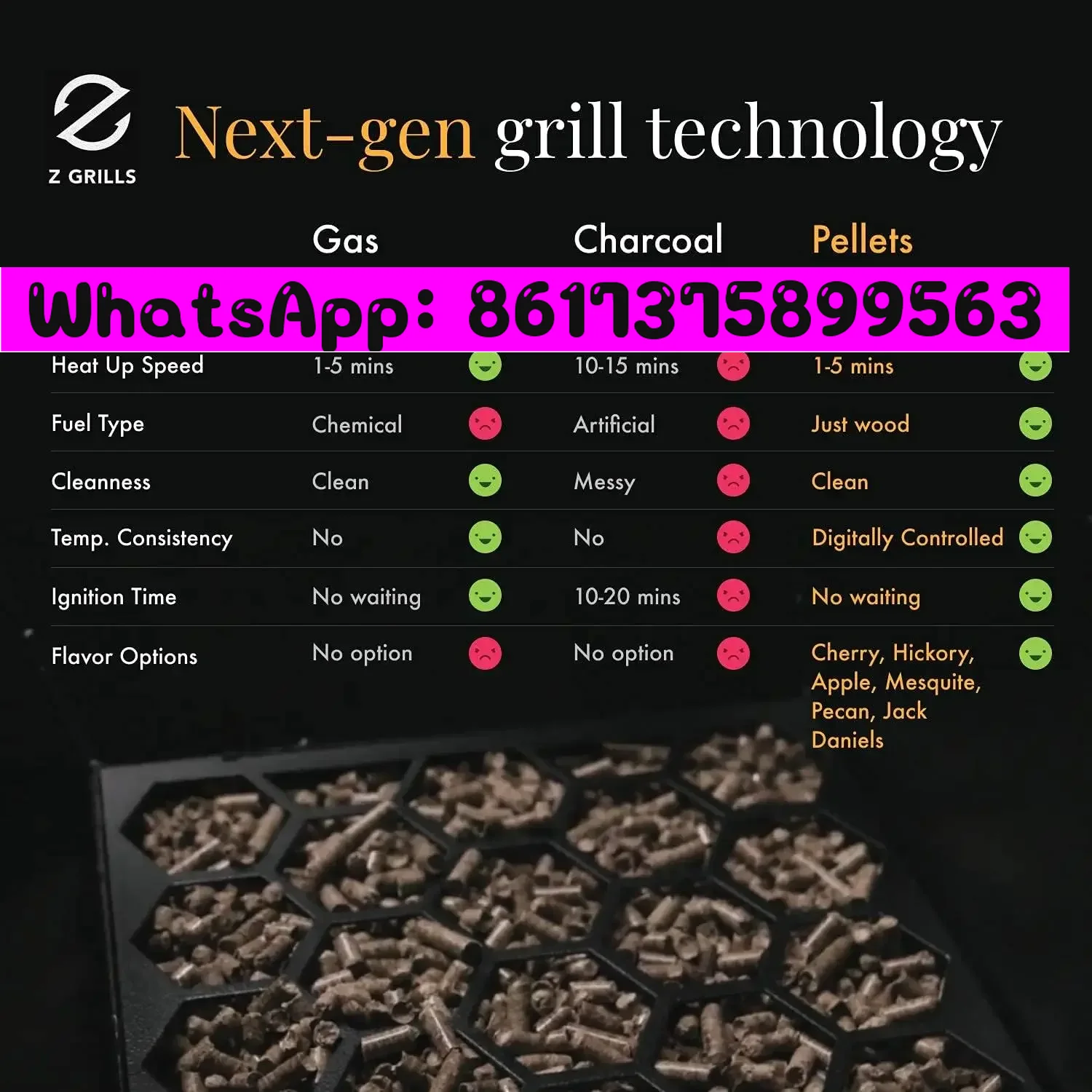 For Z GRILLS ZPG-450A 2024 Upg - Electric Smoker Bbq recensione e prezzo