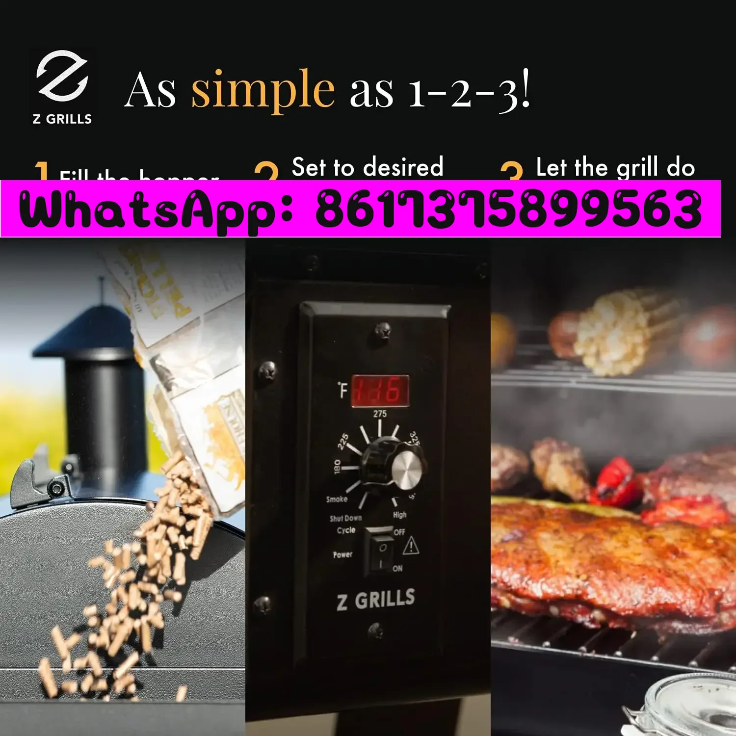For Z GRILLS ZPG-450A 2024 Upg - Electric Smoker Bbq recensione e prezzo