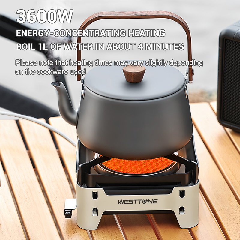 WESTTUNE Outdoor Infrared Comb - Kitchen Appliances Gas Stove recensione e prezzo